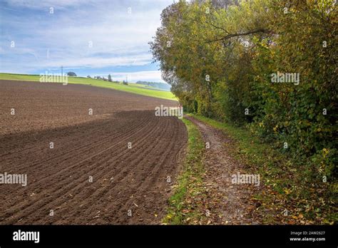 Sediment Delivery Into The Brooks Mandatory Buffer Strips Are Not