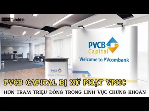 Pvcb Capital B X Ph T Vphc H N Tr M Tri U Ng Trong L Nh V C Ch Ng