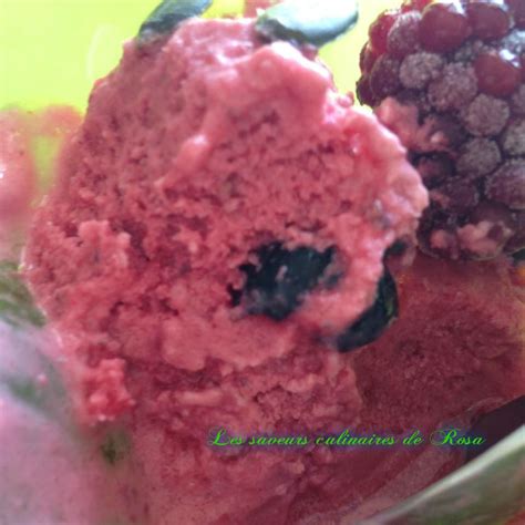 Frozen Yogurt Yaourt Glac Aux Fruits Rouges Les Saveurs Culinaires