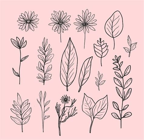 Premium Vector Various Leaves Doodle Collection Vector