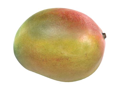 Mango - Fresh red Australia mango png download - 1500*1200 - Free ...