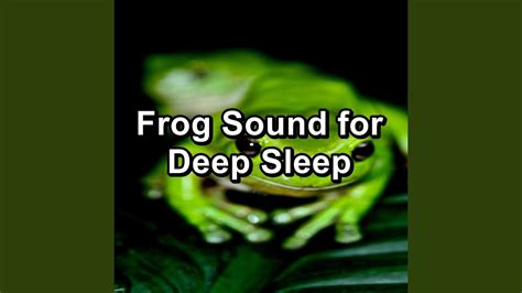 Nature Frog Sounds Youtube