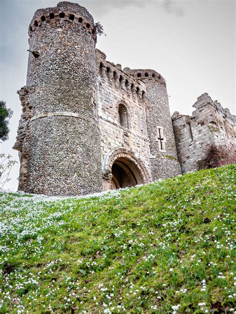 Snowdrops at Benington Lordship Gardens — Marina Walker