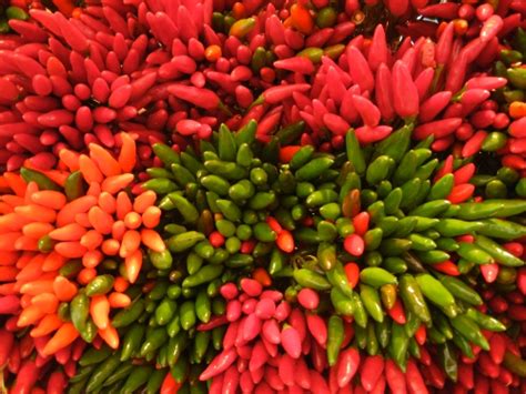 One Finger Typing Amateur Food Porn From Austria And Italy