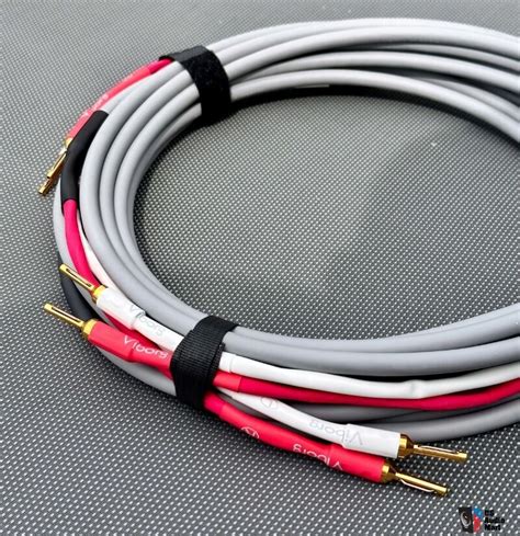 Canare 4S8 Speaker Cables Photo 4653642 US Audio Mart