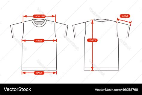 Clothing Size Chart Shortsleeve Tshirt Royalty Free Vector