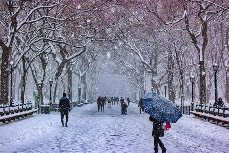 Snowing in Central Park Photograph by Bikersharedude - Fine Art America