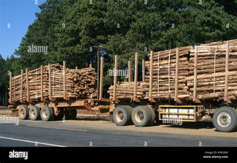 Truck carrying tree logs wood hi-res stock photography and images - Alamy