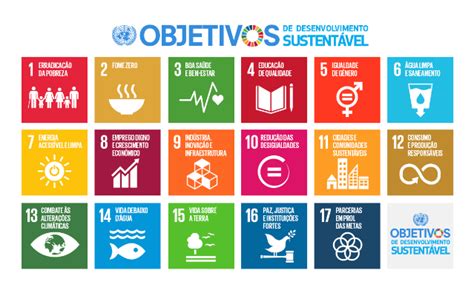 Os Objetivos De Desenvolvimento Sustentável Ods Foram Estabelecidos - ODS: conheça os Objetivos de Desenvolvimento Sustentável da ONU