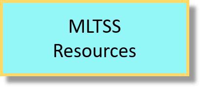 Managed Long Term Services And Supports Mltss