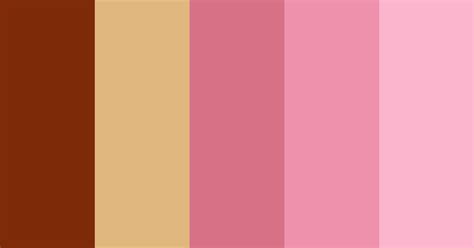 Pink Donut Color Scheme Brown