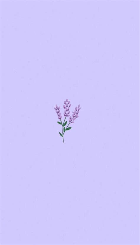 [100+] Lavender Aesthetic Wallpapers | Wallpapers.com