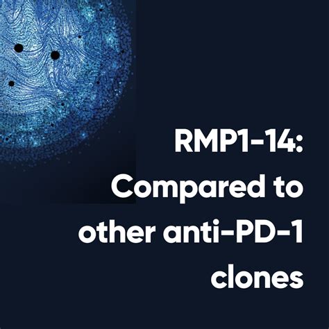 Comparing RMP1 14 To Other Anti PD 1 Clones Advantages