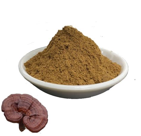 Natural Organic Reishi Ganoderma Lucidum Powder Extract China Reishi