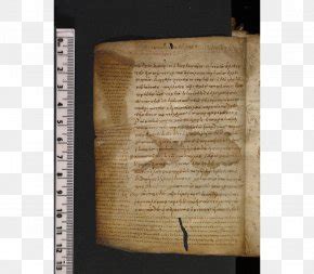 Papyrus 66 Rylands Library Papyrus P52 Greek New Testament, PNG ...