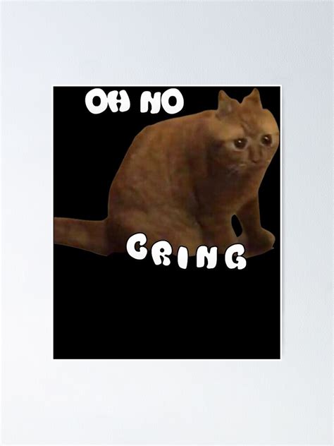 "Oh no Cringe Funny Cat Meme " Poster by SheShopeTX | Redbubble