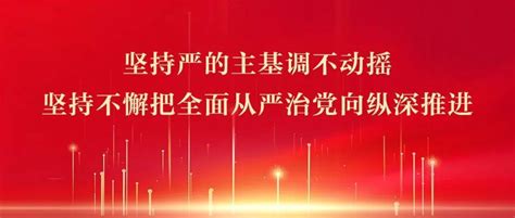 习近平：坚持严的主基调不动摇 坚持不懈把全面从严治党向纵深推进 毛亚琴 徐小凤 中央纪委