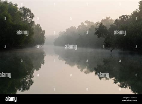 Bangladesh The Sundarbans A Unesco World Heritage Site Is One Of The