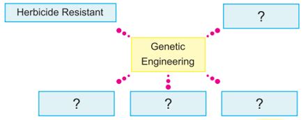 Label the diagram of the taproot system and write its significance.