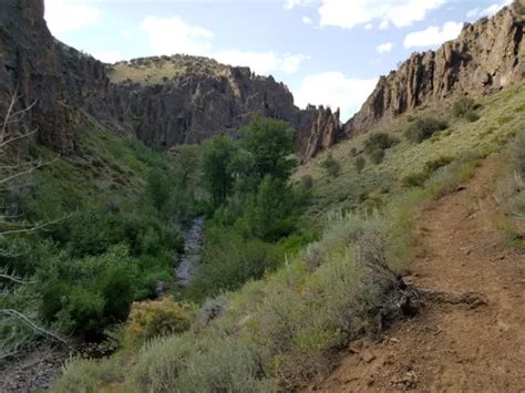 Best Cave Trails in Jarbidge | AllTrails