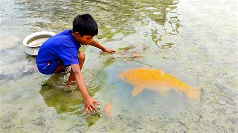 Amazing Hand Fishing Video Two Smart Boy Catching Fish By Hand From