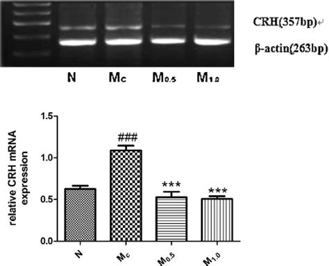 Effects Of Alarin On Serum Crh Acth And Cort Increments In