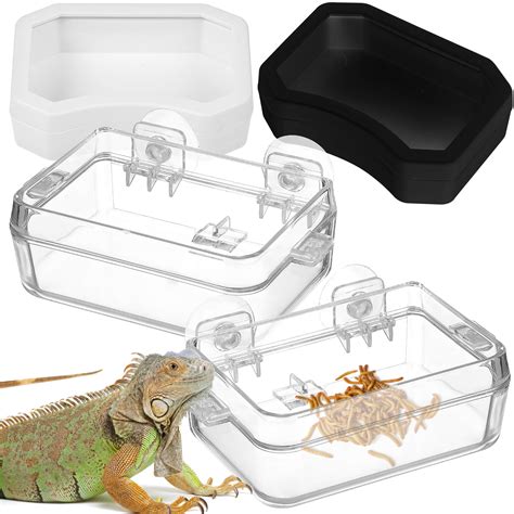 Pcs Reptile Feeder Cup Feeding Dish Escape Proof Bowl With Water