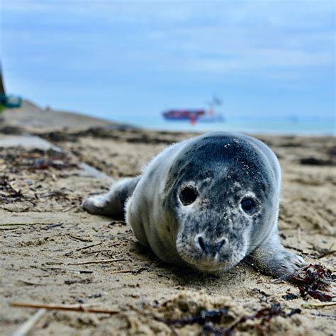 Wauw 7 X Spectaculaire Foto S Van Het Vlissingse Strand Indebuurt