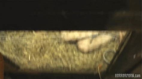 Horrorporn Videos XVIDEOS