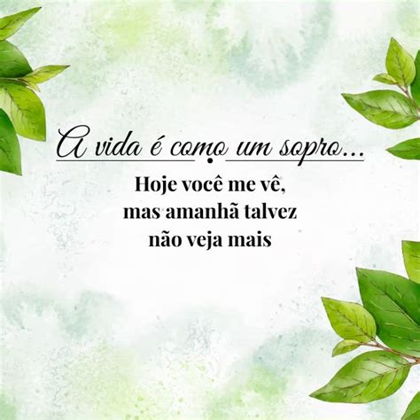 A Vida É Um Sopro Reflexão - A vida é um Sopro! 87 Frases curtas de reflexão - Frases para Whats