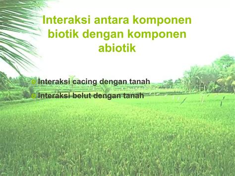 Interaksi Komponen Biotik Dan Abiotik 6