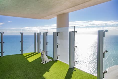 7 Condos with Top-Tier Pet Amenities for Furry Friends | The LX Collection