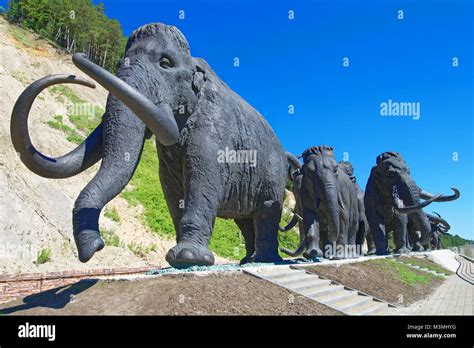 Pleistocene park siberia hi-res stock photography and images - Alamy