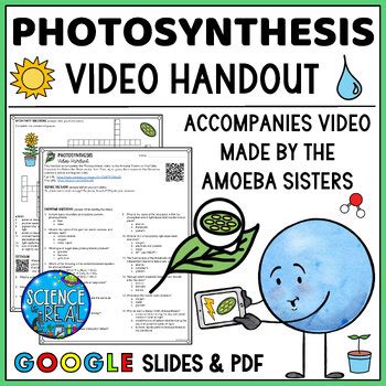 Photosynthesis Amoeba Sisters Video Handout by Science Is Real | TPT