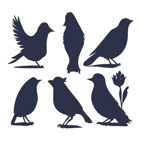 Birds silhouettes vector collection 26635439 Vector Art at Vecteezy