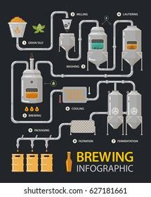 Brewing Infographic Beer Production Process Tanks Stock Vector Royalty