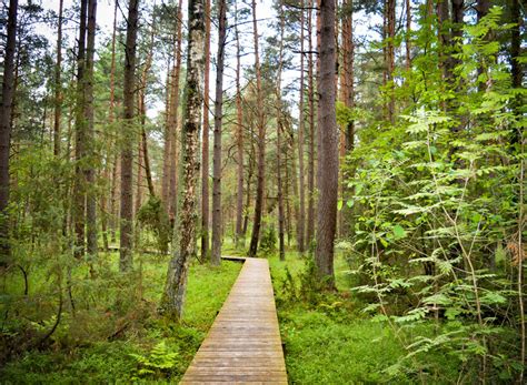 Papes Dabas Parks Piedzīvojumi Ekskursijas Pārgājieni