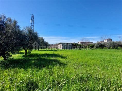 Terreno Agricolo Via Alessandro Volta Eboli Rif