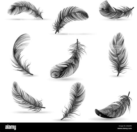 Isolated and realistic feather black icon set feather slowly falling ...