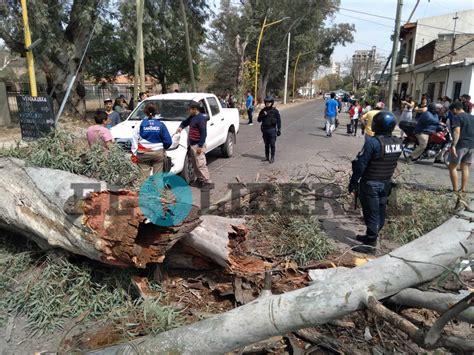 Fotos Y Video Los Fuertes Vientos Hicieron Estragos Cay Un Rbol Y