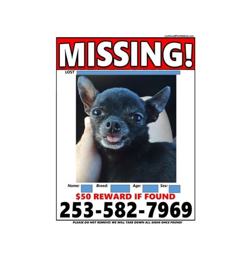 40 Lost Pet Flyers [Missing Cat / Dog Poster] - TemplateArchive