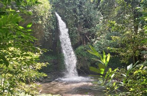 Air Terjun Jambe Rowo Pesona Tersembunyi Di Banyuwangi XPLORE