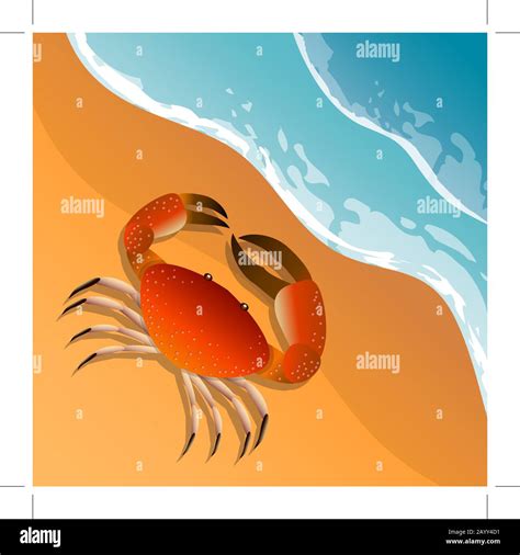 The Illustration On A Beach Theme Summer Vacation By The Sea The Crab On The Sand Sea Surf