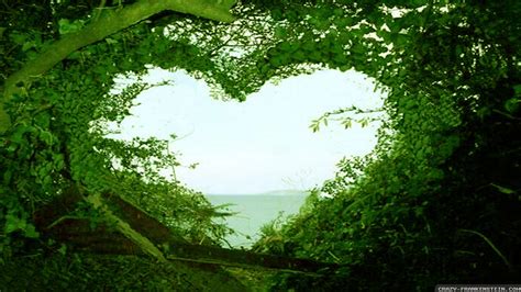 Love Nature Wallpapers - Top Hình Ảnh Đẹp