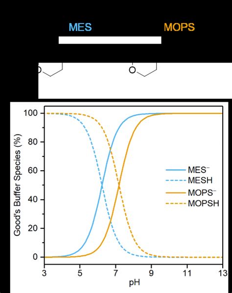 Analysis Of Good S Buffer Species Mes And Mops A Chemical Structure