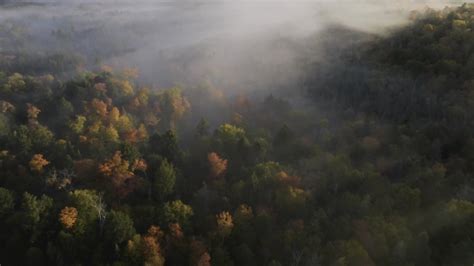 Not Porn Music Video Beatles Don T Let Me Down Lena Hall Lena Coxx