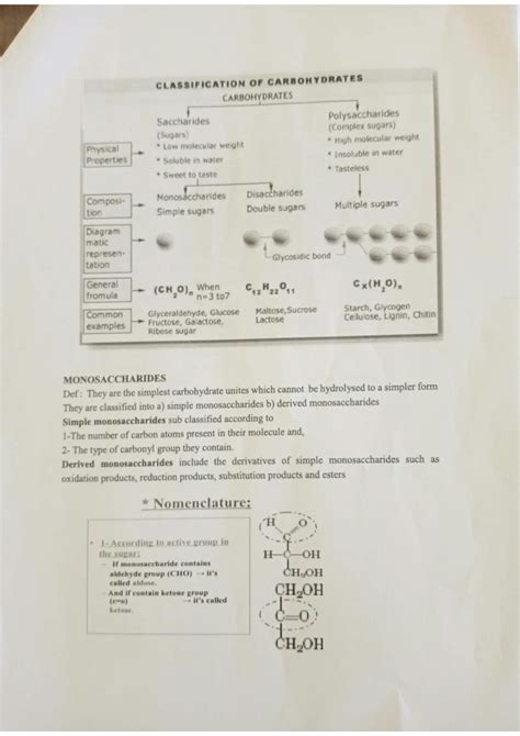 SOLUTION: Carbohydrates notes - Studypool 