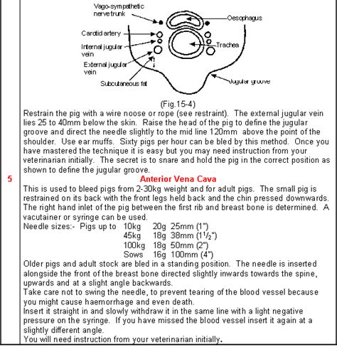 Blood Sampling Methods Available The Pig Site