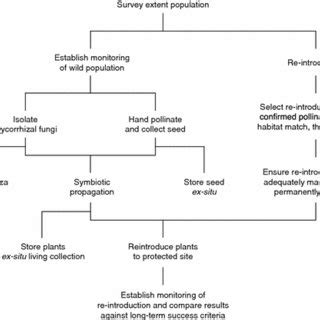 An ecological framework for the re-introduction of orchids | Download ...