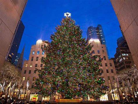 The 11 Most Iconic Christmas Trees Across The World